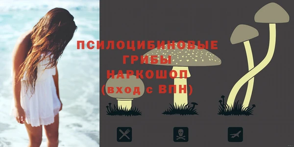 apvp Киреевск