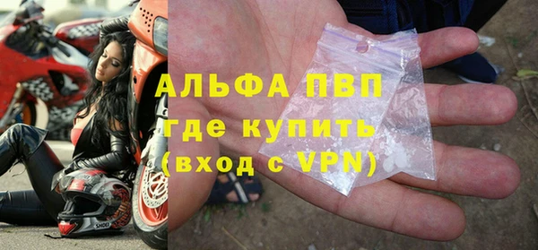 молекула духа Бикин