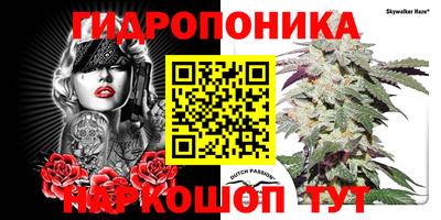 амф Донской