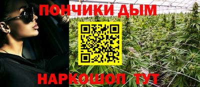 амф Донской